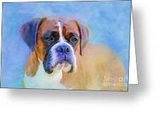 Boxer Blues Greeting Card by Michelle Wrighton