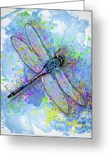 Colorful Dragonfly Painting by Jack Zulli - Fine Art America