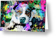 https://render.fineartamerica.com/images/rendered/small/greeting-card/images/artworkimages/medium/1/colorful-pitbull-jon-neidert.jpg?transparent=0&targetx=-12&targety=0&imagewidth=725&imageheight=500&modelwidth=700&modelheight=500&backgroundcolor=A3A6A4&orientation=0&producttype=greetingcard&imageid=3513401