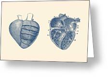 Simple Human Heart - Dual View - Vintage Anatomy Poster Drawing by Vintage  Anatomy Prints - Fine Art America