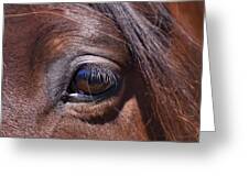 Eye See You Greeting Card by Michelle Wrighton