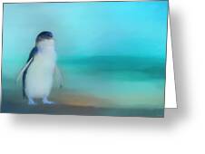 Fairy Penguin Western Australia Greeting Card