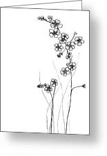 Forget Me Nots Drawing By Jessica Mileur