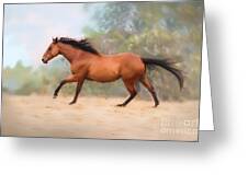 Galloping Thoroughbred Horse Greeting Card by Michelle Wrighton