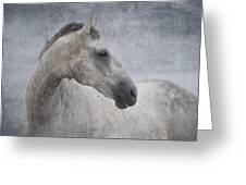Grey At The Beach Textured Greeting Card by Michelle Wrighton