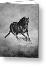 Horse Power Black And White Greeting Card by Michelle Wrighton