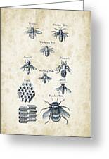 Insects - 1792 - 14 Wood Print by Aged Pixel - Fine Art America