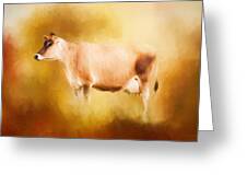 Jersey Cow In Field Greeting Card