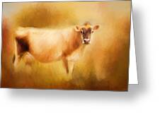 Jersey Cow  Greeting Card