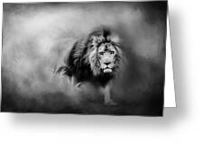 Lion - Pride Of Africa 3 - Tribute To Cecil In Black And White Greeting Card