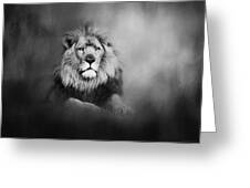 Lion - Pride Of Africa I - Tribute To Cecil In Black And White Greeting Card