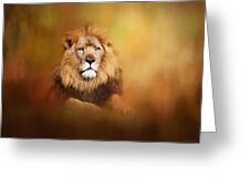 Lion - Pride Of Africa I - Tribute To Cecil Greeting Card