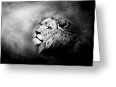 Lion - Pride Of Africa II - Tribute To Cecil In Black And White Greeting Card