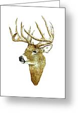 Male Deer #2 Poster by Michael Vigliotti - Pixels