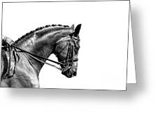On The Bit - Dressage Series Greeting Card