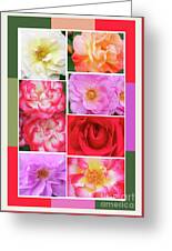 Rose Garden Sampler Photograph by Regina Geoghan | Fine Art America