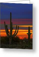 Saguaro Sunset V30 Photograph by Mark Myhaver - Fine Art America