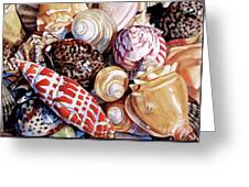 Seashells in watercolor by Lillian Bell