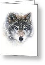Snow Wolf Digital Art by Robert Foster - Fine Art America