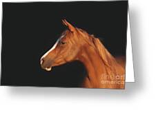 Soulful Gaze Of A Horse Greeting Card