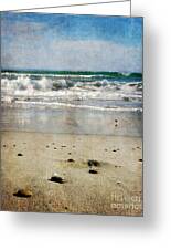 Stones Along the Shore Photograph by Laura Iverson - Fine Art America