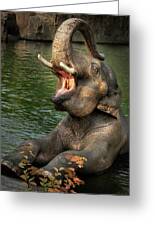 The Big Elephant Yawn Photograph by Jean Noren - Fine Art America