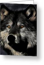 Twilight Eyes of The Lone Wolf Photograph by Wingsdomain Art and ...