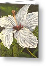 White Hibiscus Painting by Tamara Kulish - Fine Art America