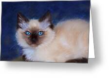 Zen Ragdoll Cat Greeting Card by Michelle Wrighton