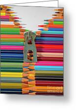 Coloured pencil crayons h1 Photograph by Ofer Zilberstein - Fine