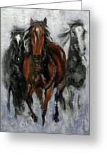 Buy one get one free greeting card offer Gray Horses Galloping In Snow 