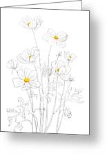 white cosmos flowers ink and watercolor Wrapping Paper by Color and Color