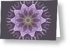 Amethyst Healing Crystals Sun Ray Mandala Graphic for Christmas present  Spiral Notebook by Kiliae Safia - Pixels
