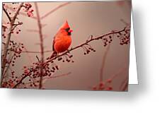 Bold Beauty Greeting Card Bold Beauty Greeting Card
