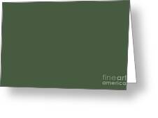 Dark Pine Forest Green Solid Color Pairs to Farrow and Ball 2020 Color Duck  Green W55 Digital Art by PIPA Fine Art - Simply Solid - Fine Art America