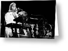 Linda McCartney The Paul McCartney Band By Concert Photos, 40% OFF