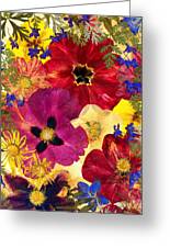 Womens Gift, Pressed Flower Art, Dried Flowers Art, Floral Print Mixed  Media by Ziggy Print - Pixels