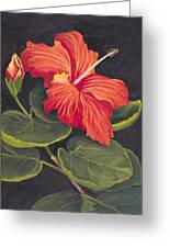Red Hibiscus Painting by Darice Machel McGuire - Fine Art America
