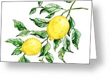 Sicilian Lemons II by Paul Brent