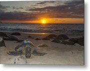 Turtle Beach sunset Oahu Hawaii #3 Photograph by Jianghui Zhang - Fine Art  America
