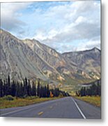 Along The Parks Highway Metal Print
