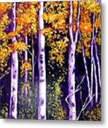 Fall In The Eastern Townships  Quebec Metal Print