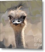 Faux Ostrich Mating Ritual Metal Print