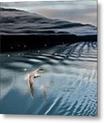 Journey With A Sea Gull Metal Print