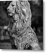 Leo In Stone Metal Print