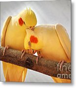 Love Birds Metal Print