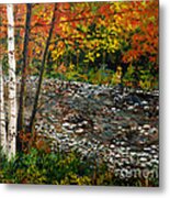 North Carolina Stream Metal Print