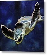 Sea Turtle Metal Print