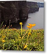 The Cliffs Of Moher Metal Print