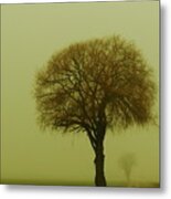 Walk In The Fog Metal Print